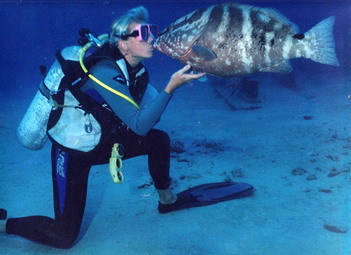 tracymeintjes's profile picture. Nature Conservationist, diver, skipper and in love with the ocean