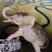 Save the Okavango Basin (@saveokavango) Twitter profile photo