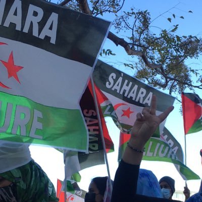 asisabs's profile picture. 😊