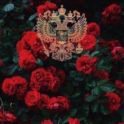 zarabotok1109's profile picture. смещенный эктоморф