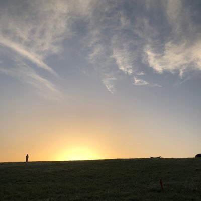 chosutarou's profile picture. 愛するモノ、街、風景、花など何気ない瞬間をほぼiPhone17Proで撮影している写真の素人/ SONYα6400を所有/ キャンプとコーヒーが大好きな某企業会社員/