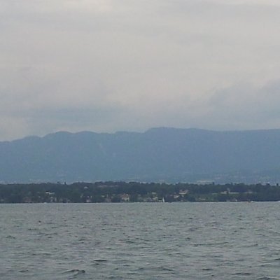 Pseud_Elle's profile picture. 