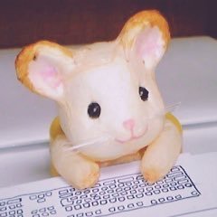 nohtaray's profile picture. 競プロ (A青H黄) / タイピング / プロセカ / 猫