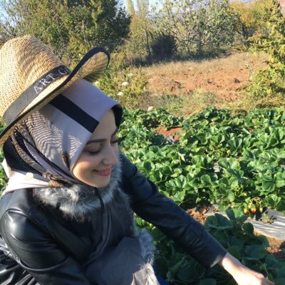 bsrasatr's profile picture. 