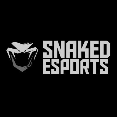 UK based eSports organisation. @SnakedGamingOrg @SnakedNationOrg @SnakedAcademy For business enquiries contact SnakedeSportsOrg@gmail.com
