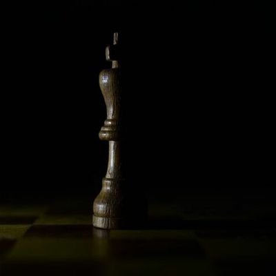 chessplayer_al's profile picture. Life is like a game of chess, you cannot undo the moves but you can make the next step better.