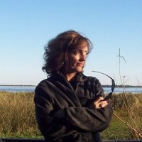 RosarioCollicoSavio (@rosariocollico) 's Twitter Profile Photo RosarioCollicoSavio (@rosariocollico) 's Twitter Profile Photo
