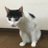浅場 俊英のTwitterプロフィール画像