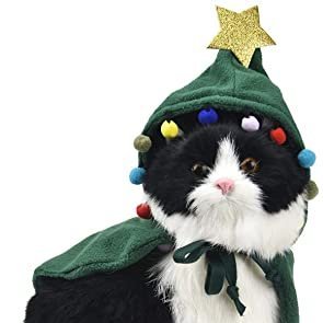 NRose46946616's profile picture. 