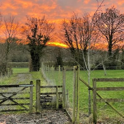 A new, small, organic research farm in the South West. 🌱 👨‍🌾 🚜 (Yet another @jimbomorrison project 🤦‍♂️) - Also home to @trainworkclock 🚂🕰