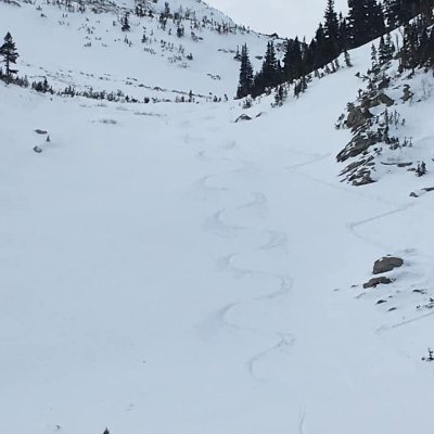 brian_blaser's profile picture. Blaze your own trail.