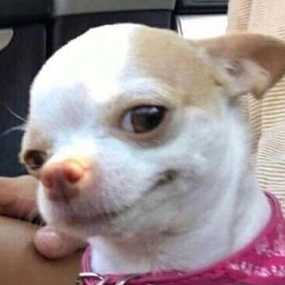 ssila_krt's profile picture. 