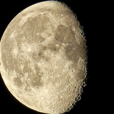 Sima56077419's profile picture. 