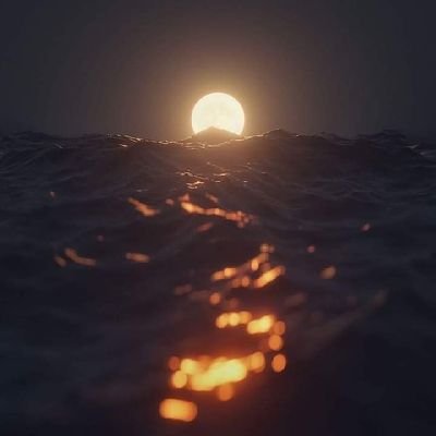 Steven33590061's profile picture. 