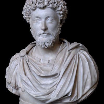 CONSERVADOR Consciente!!!
Chi pecora si fa,il lupo mangia