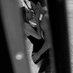 منسقه للجادين والمتعه جده (@wn2eo9pm4newkxe) Twitter profile photo منسقه للجادين والمتعه جده (@wn2eo9pm4newkxe) Twitter profile photo