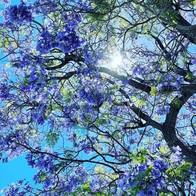 爽 かわいい女の子になりたい Sou Twitter