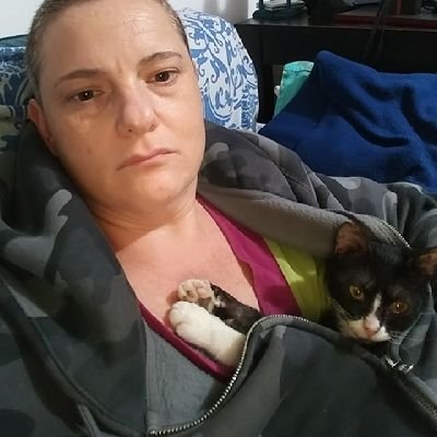 APessach's profile picture. את/היא.       
יש לי אהוב שאוהב אותי(@relvap), חתולים שמביאים לי אושר והמון מחלות כרוניות בגללן כבר לא יכולה לטפל בחתולים חסרי בית 😞