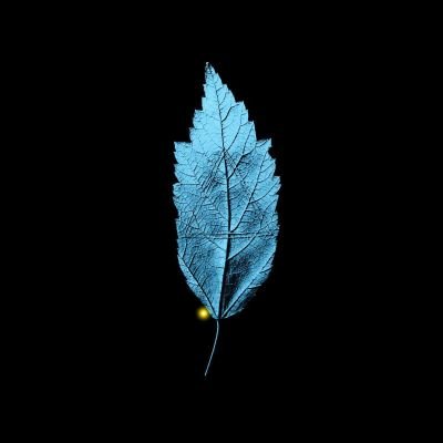 Cryptopriesto's profile picture. Crypto Priesto