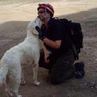 Zeynep Gül Ünal (@zgulunal) 's Twitter Profile
