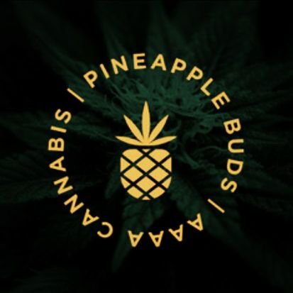 The Pineapple takeover                                             Proud Indigenous affiliated company              #supportwomeninagriculture #bringtheflavours