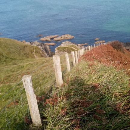 plainan43193305's profile picture. 