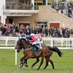 AFRUKUS's profile picture. AFR is small, friendly, jumps racing syndicate made up of UK and USA owners