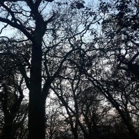 Kate Atkinson (@kateatko) 's Twitter Profile