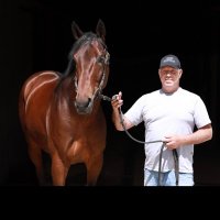 antonio luiz cintra (@tolu_cintra) 's Twitter Profile