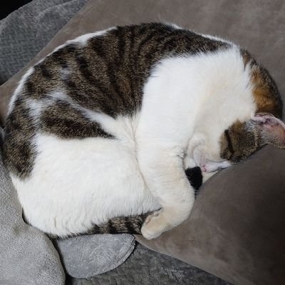 リラさんのプロフィール画像
