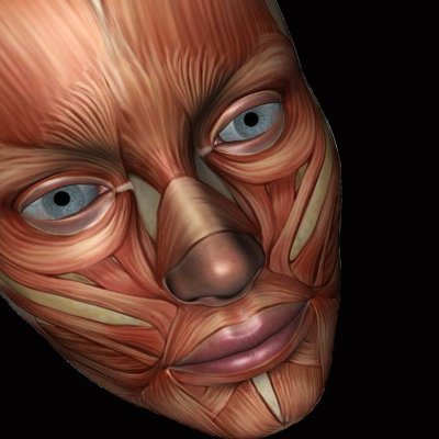 Семиспиналис капитис