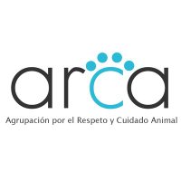 Fundacion Arca Chile(@arca_chile) 's Twitter Profile Photo