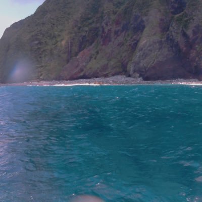 gRq004W3ine32cb's profile picture. Aセク自認/30代♀︎/漫画アニメ好き/ハイキュー金カム呪術廻戦/動物(特に猫)と海獣とコスメも好きだよ/日々の事も呟きます/無言フォロー失礼します/気軽にフォローしてください☺️