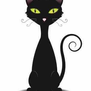 TheCatsWhiske16's profile picture. Feminist, writer and campaigner for social justice.