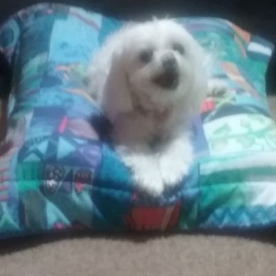 KellyGr02533135's profile picture. 