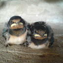 Joël Bosch - @JBoschTweets - Twitter