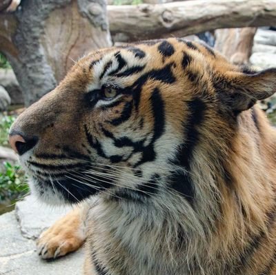 アースさんのプロフィール画像