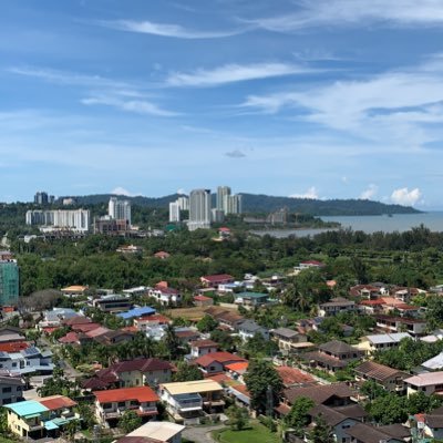 andyinvests's profile picture. I