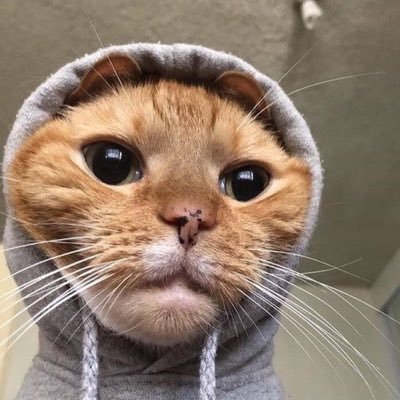 erick86201961's profile picture. 