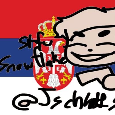 i used to translate a famous persons tweets in to Serbia

i am a miner

i have a lot of swag and money