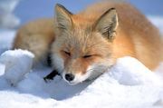 名前変更しました。こっちの方がとおりが良いかと（笑）
