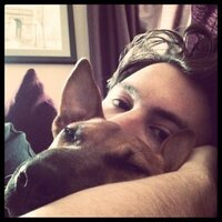 Joe hill (@joehill1101) 's Twitter Profile