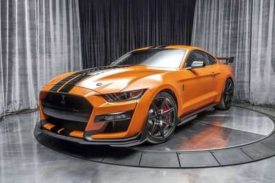 OrlandVict's profile picture. chat