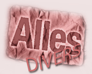 allesdiversnl's profile picture. HomePage: http://t.co/COXIht8nbq

Een website groeiend met informatie over allerlei zaken in het dagelijks leven.
