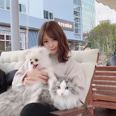 FUWAMOCO - Search / X