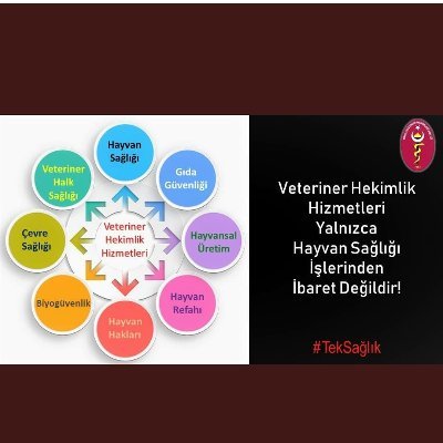 Veteriner Hekim 💉 Beşeri hekim insanları, veteriner hekimler insanlığı tedavi eder. 💉 Tarım ve Orman Bakanlığı 💉 Selçuk Üniversitesi