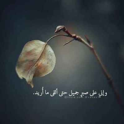 Hussain02549574's profile picture. ♥️