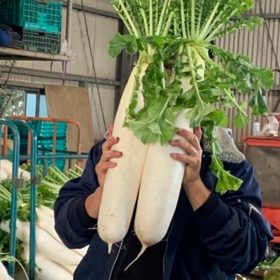 智徳 くっ付いてる笑 面白い 野菜 変な野菜 智徳 くっ付いてる笑 面白い 野菜 変な野菜