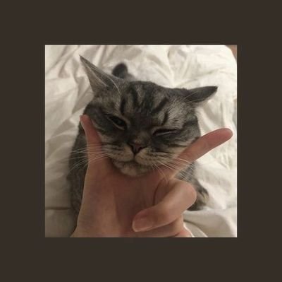 lftmin's profile picture. 