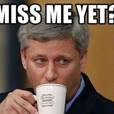 nawakcedek's profile picture. have fun with me ❤🔥